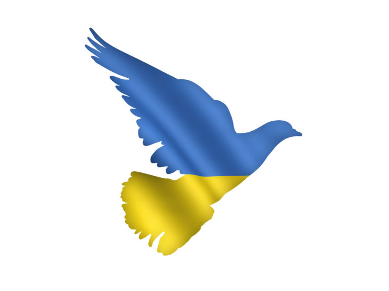 Krieg in der Ukraine: Spenden für Menschen in Not